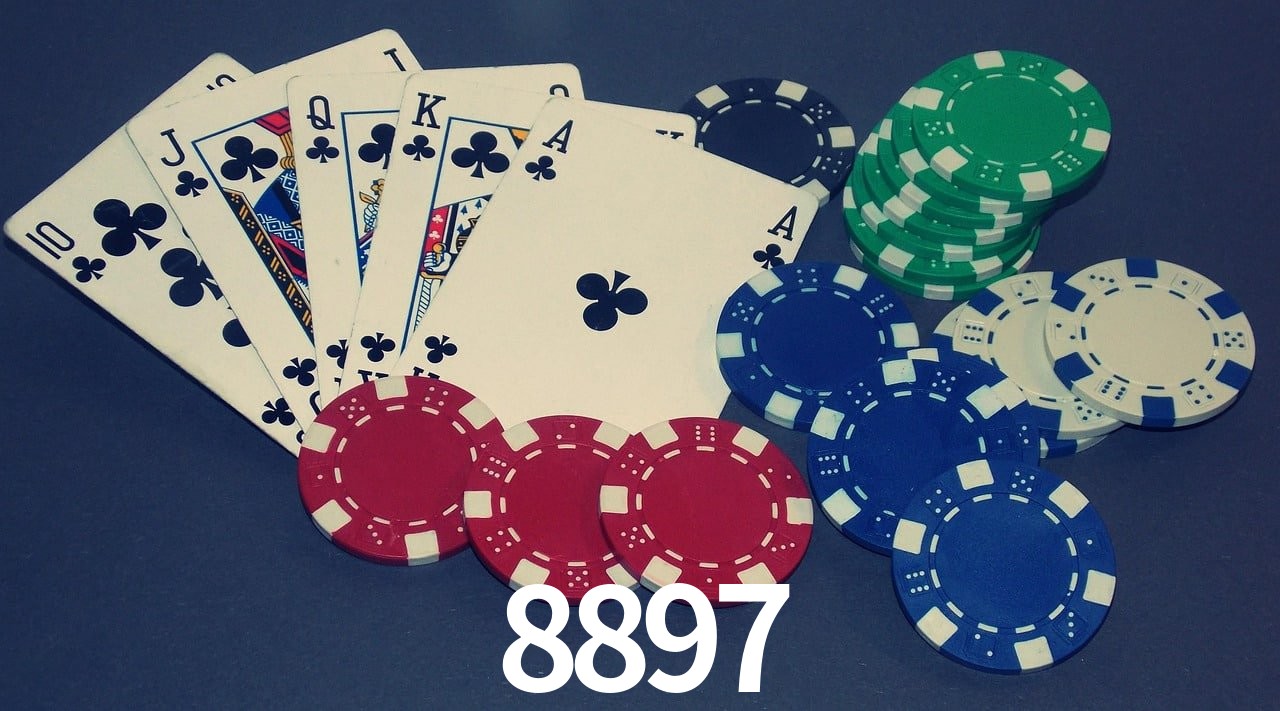 Experiência VIP 8897